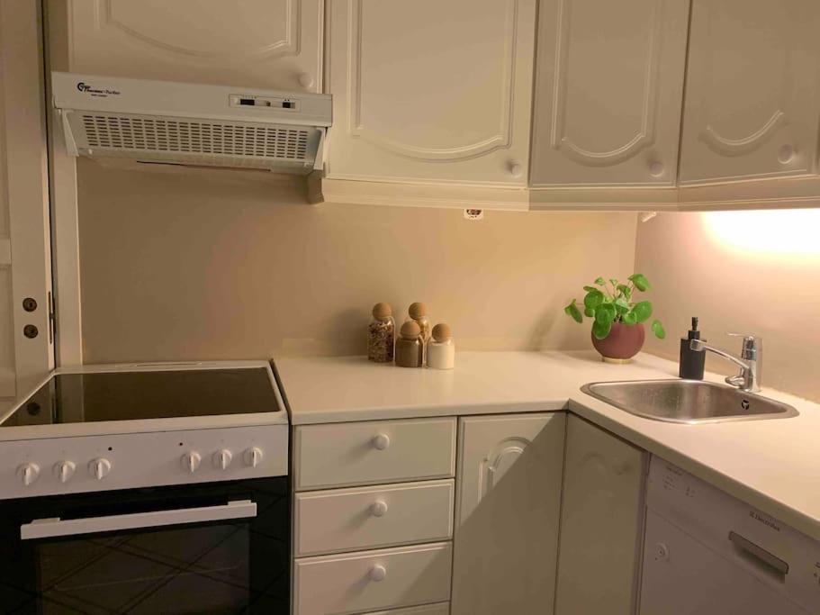 Sentrumsnaer Leilighet Med 3 Soverom. Bergen Extérieur photo