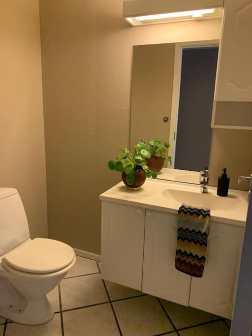 Sentrumsnaer Leilighet Med 3 Soverom. Bergen Extérieur photo